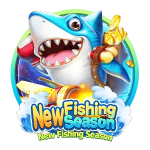 Promotions & Bonuses
